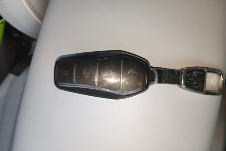 Used BYD Seal 2022 550 km Standard Range Rear-Wheel Drive Prestige Version