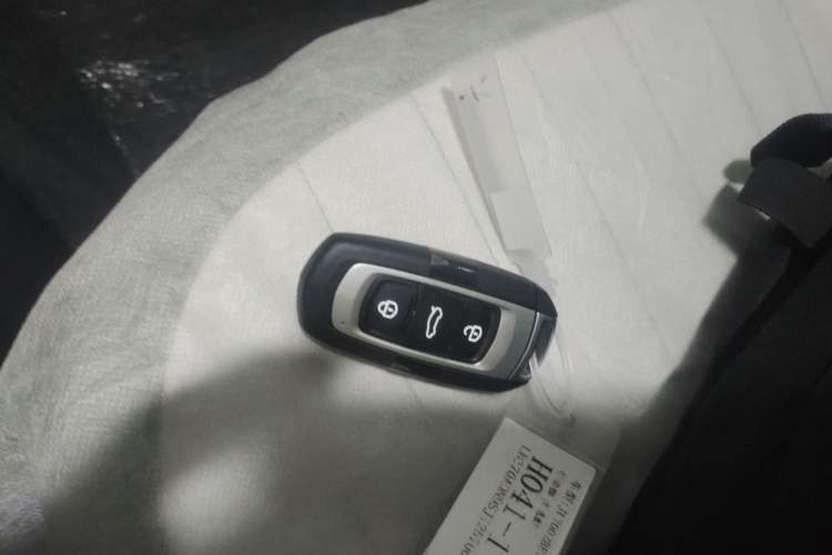 Used  Panda 2025 210km Panda Rider