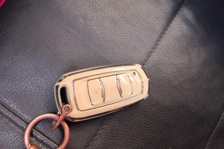 Used  Panda 2024 Panda Mini 200km Longteng PRO Edition
