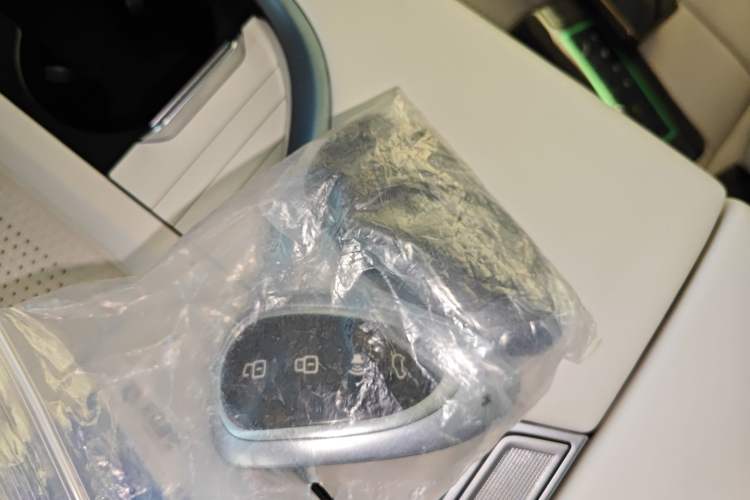 Used Wey Lanshan 2025 Four-Wheel Drive Max