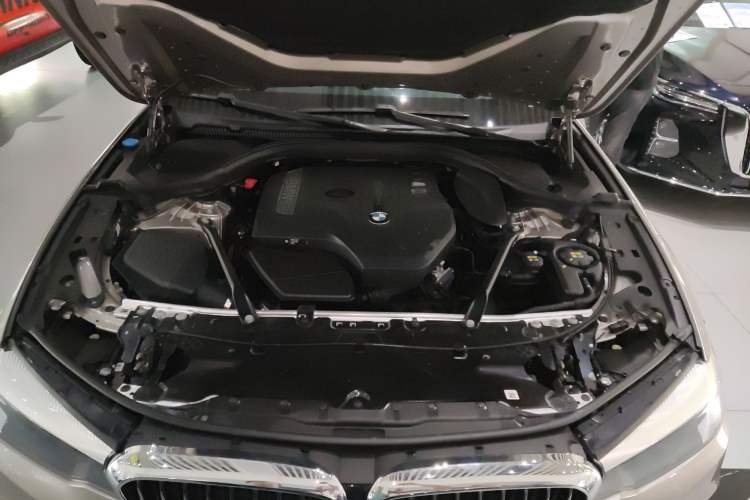 Used BMW 5 Series 2018 528Li Launch Special Edition
