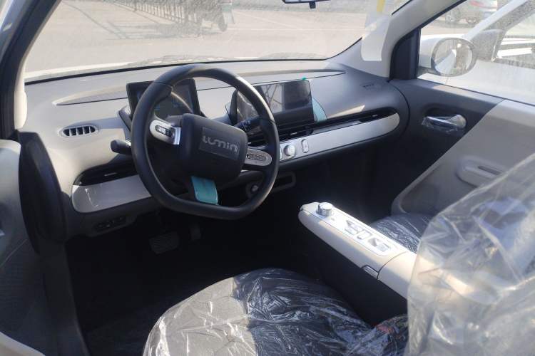 Used  Lumin 2025 205 km Xiangqin Version