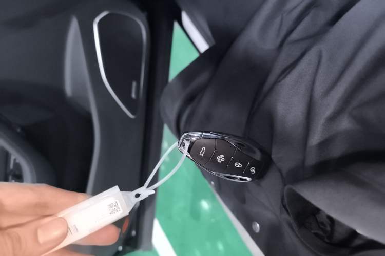 Used Hongqi HS5 2023 2.0T Qixiang Pro Edition
