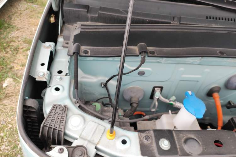 Used  Panda 2023 Panda Mini 200km Dynamic Bear
