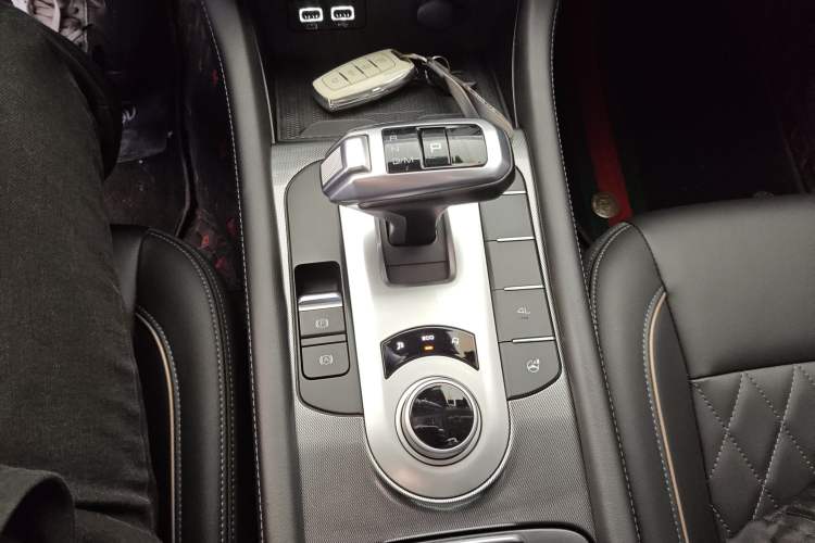 Used Great Wall Poer 2021 2.0T Global Version Automatic Diesel 4x4 Comfort Trim Standard Box GW4D20M