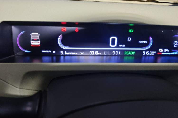 Used  Panda 2024 Panda Mini 200km Endurance Bear