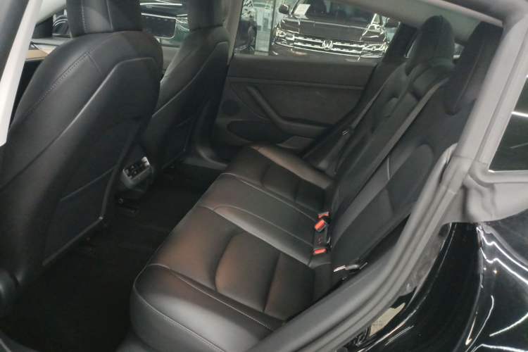 Used Tesla Model 3 2021 Standard Range Rear-Wheel Drive Upgraded Version 3D6
