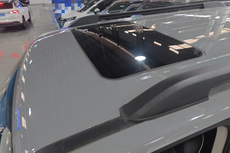 Used Tank 300 2024 2.0T Conqueror