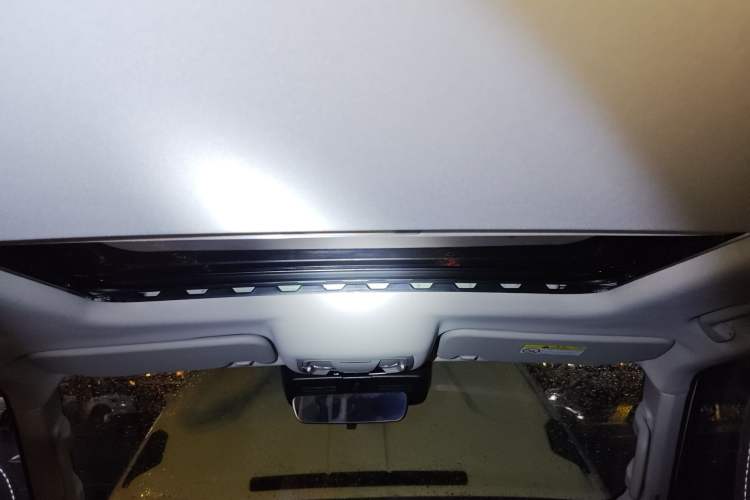 Used Tank 300 2021 2.0T Wind & Forest Iron Rider
