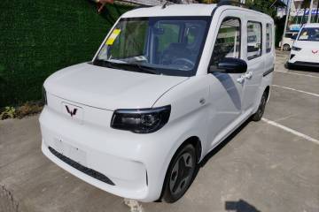 Used Wuling Zhiguang New Energy 