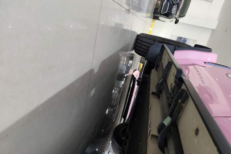 Used  V23 2025 401 Two-Wheel Drive Intelligent Driving Version
