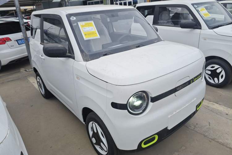 Used  Panda 2025 210 km – Yuanqi Bear