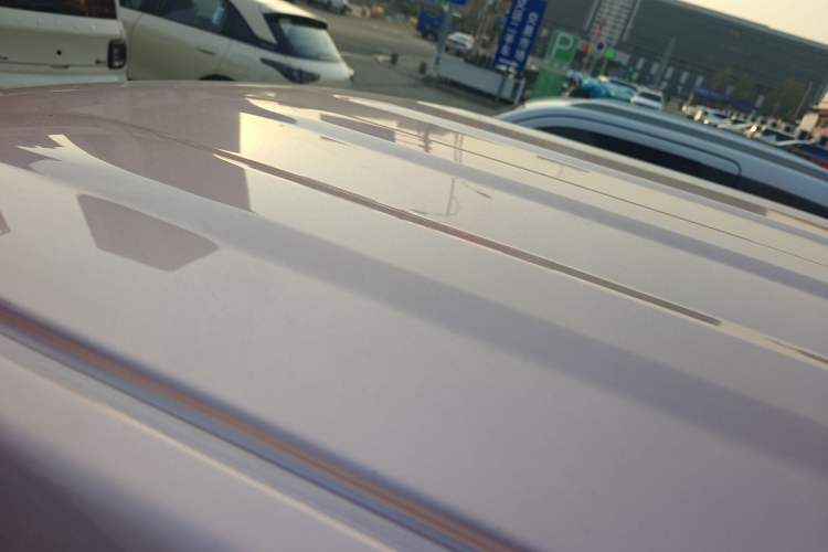 Used  Panda 2024 Panda Mini 200km Endurance Bear
