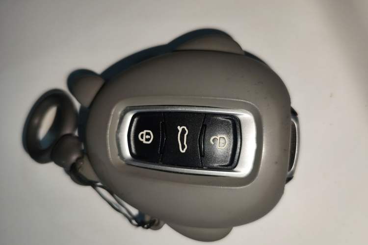 Used  Panda 2023 Panda Mini 200km Endurance Bear
