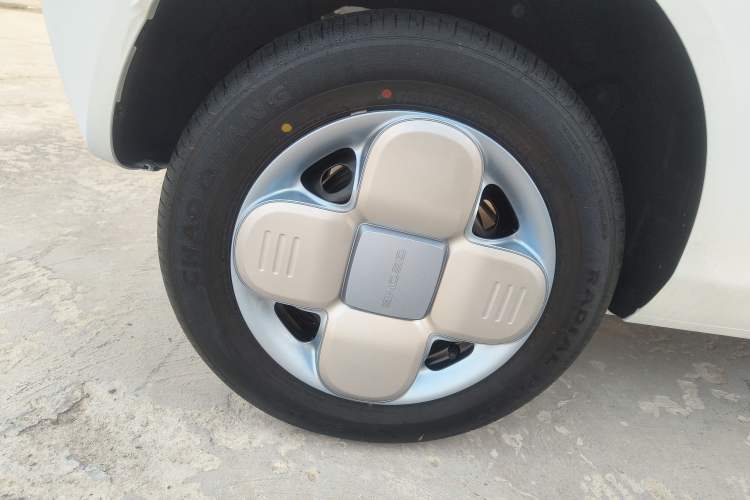 Used  Panda 2024 Panda Mini 200km Endurance Bear
