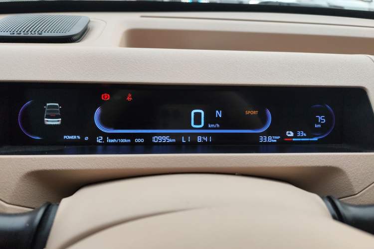 Used  Panda 2024 200km Panda Kart
