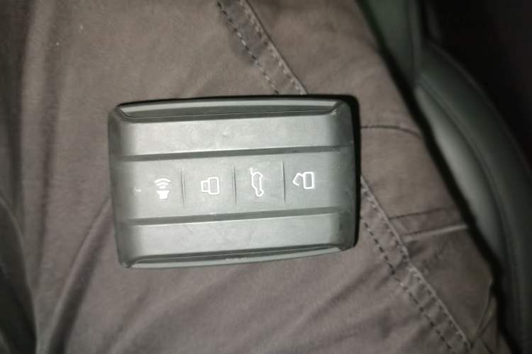 Used Tank 400 New Energy 2024 Hi4-T Off-Road Edition
