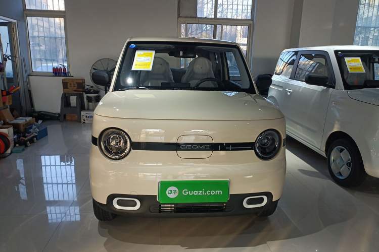 Used  Panda 2025 210 km – Yuanqi Bear