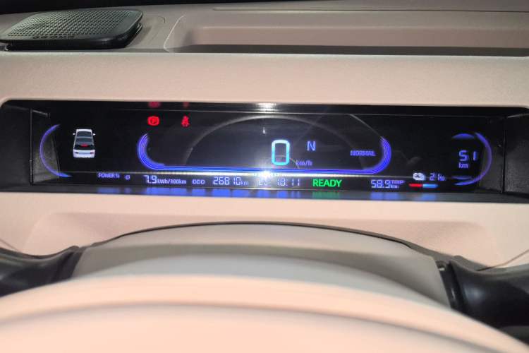 Used  Panda 2023 Panda Mini 200km Dynamic Bear