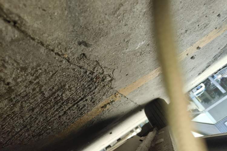 Used  fortwo 2015 1.0L 52 kW Hardtop Passion Edition
