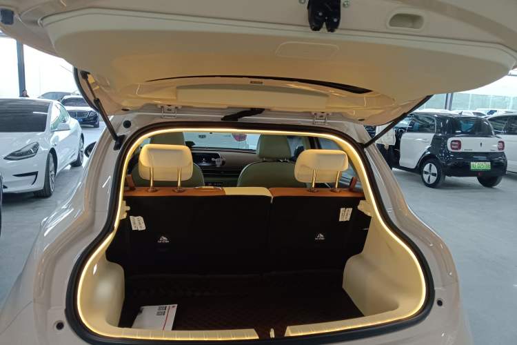 Used ORA Good Cat 2024 401 km Luxury Version