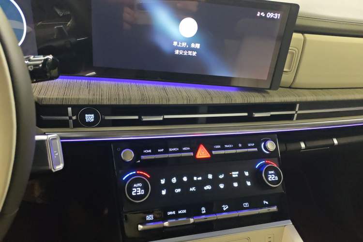 Used Hyundai Santa Fe 2024 2.0T Connoisseur Pro Max
