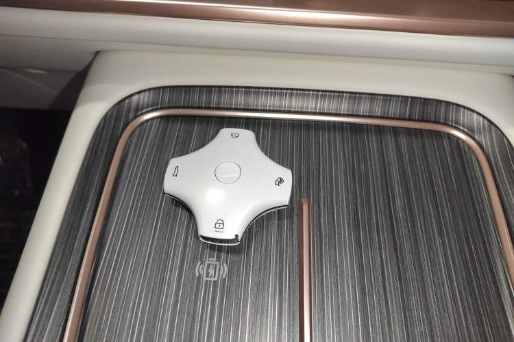 Used  eπ008 2024 636Max All-Electric Version 6 Seats
