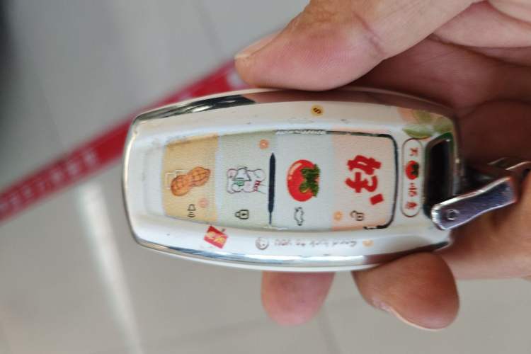 Used Haval DARGO 2021 1.5T DCT Two-Wheel Drive Border Collie Edition
