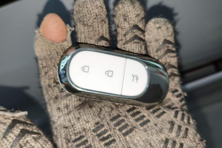 Used Leapmotor C01 2024 Pure Electric 525 Luxury Edition
