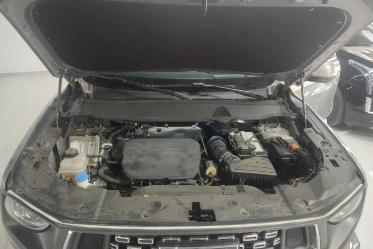 Used Haval  2023 1.5T Two-Wheel Drive Chao Ye Version Plus
