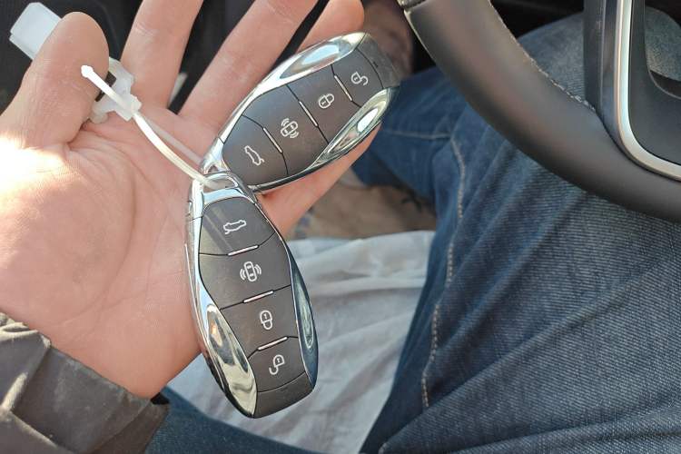 Used Hongqi H5 2024 1.5T DCT Smart Connect Flagship Edition
