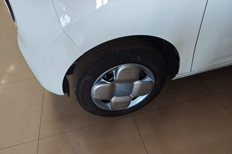 Used  Panda 2023 Panda Mini 200km Endurance Bear
