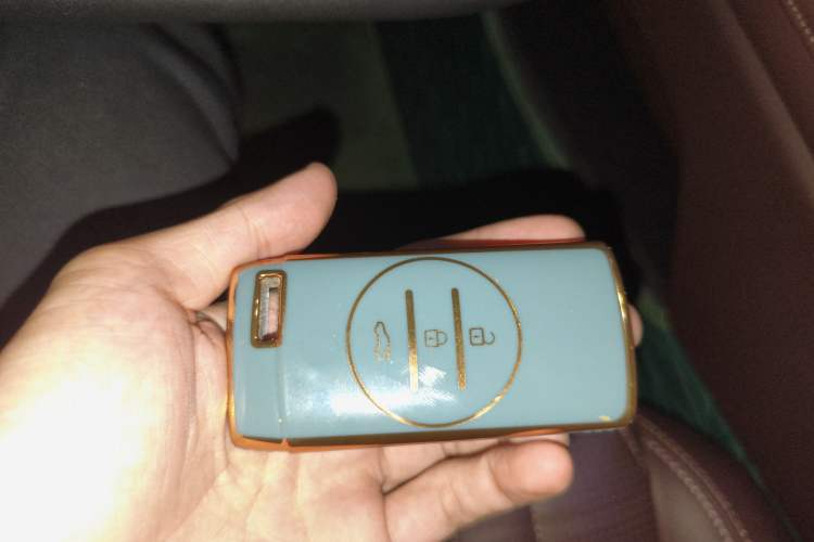 Used  Lanyue 2023 400T Four-Wheel Drive Star Prestige Edition 6 Seats
