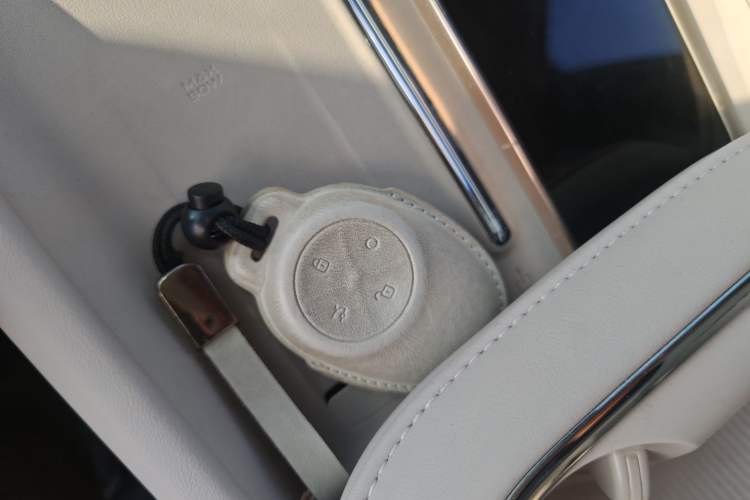 Used AION RT 2025 650 LiDAR Edition
