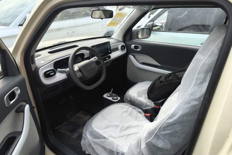 Used  Panda 2025 210 km – Yuanqi Bear