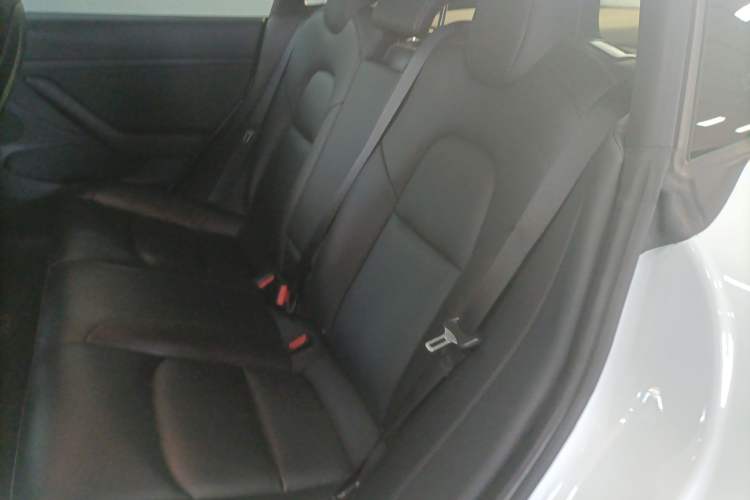 Used Tesla Model 3 2021 Standard Range Rear-Drive Upgraded Version
