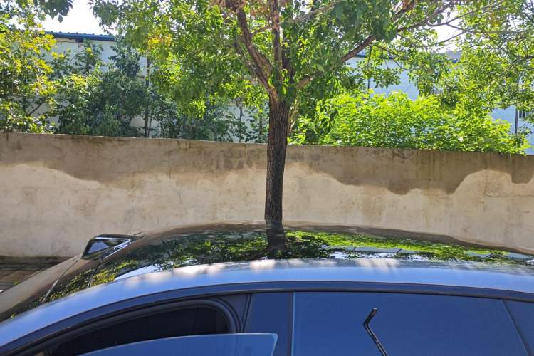 Used  07 2024 Max Extended-Range Edition
