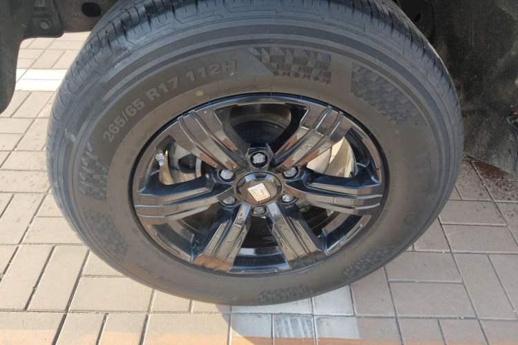 Used Tank 300 2023 Off-Road Edition 2.0T Challenger
