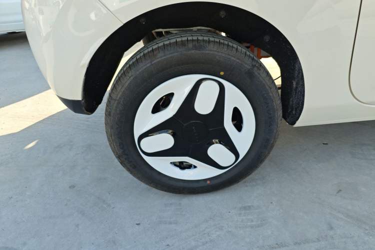 Used  Panda 2025 210 km – Yuanqi Bear
