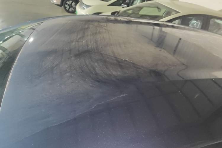 Used BYD Dolphin 2025 420km Free Edition