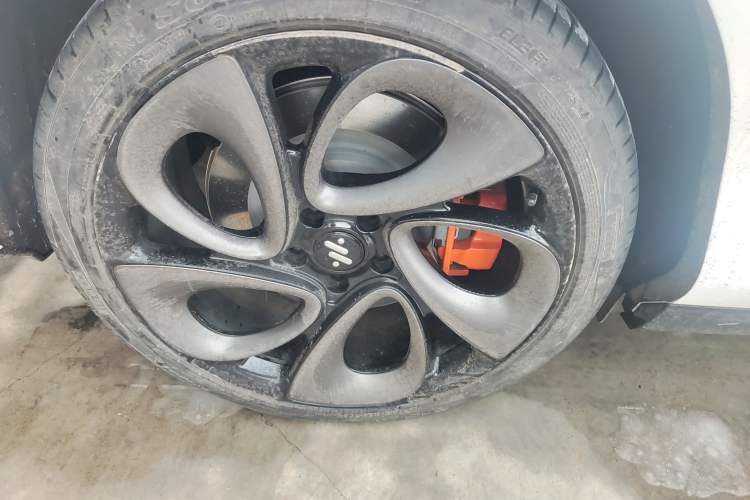 Used  LS6 2023 Max Long-Range Version