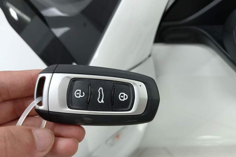 Used  Panda 2024 Panda Mini 200km Endurance Bear
