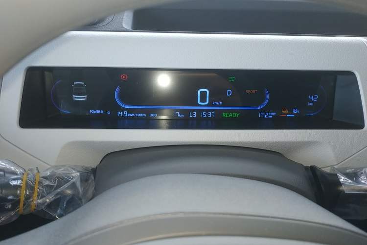 Used  Panda 2024 Panda Mini 200km Endurance Bear
