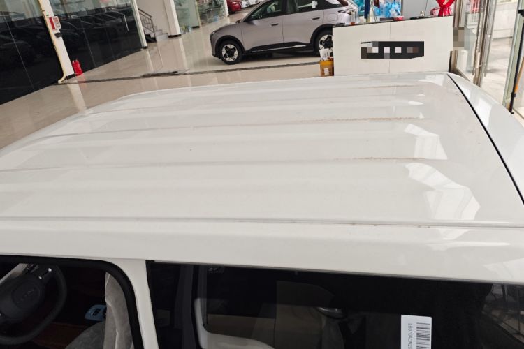 Used  Panda 2024 Panda Mini 200km Endurance Bear
