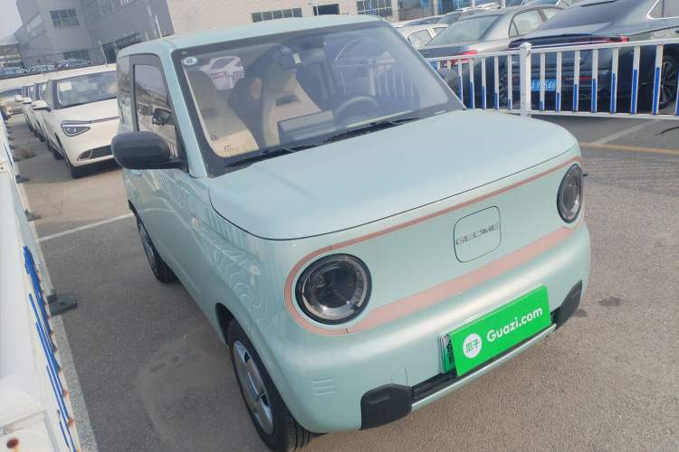 Used  Panda 2024 Panda Mini 200km Endurance Bear

