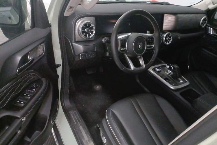 Used Tank 300 2024 2.0T Crosser
