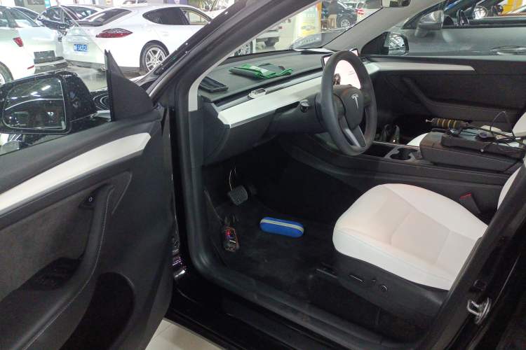 Used Tesla Model Y 2021 Standard Range Rear-Wheel Drive Version
