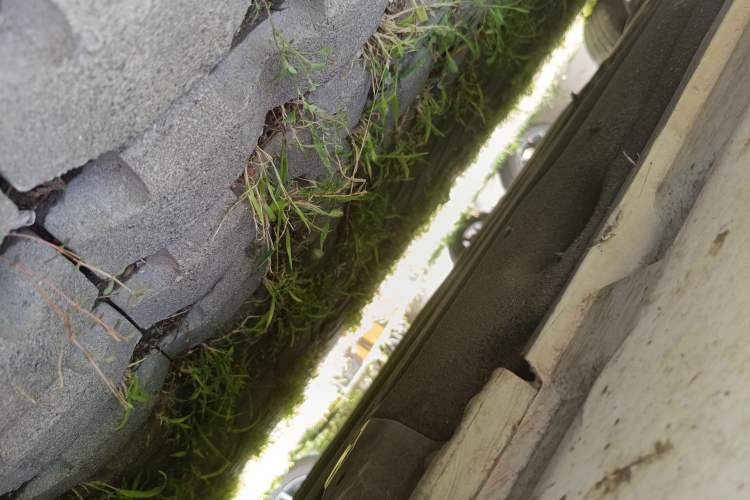 Used Volkswagen FAW-Volkswagen CC 2016 2.0 TSI Luxury Model
