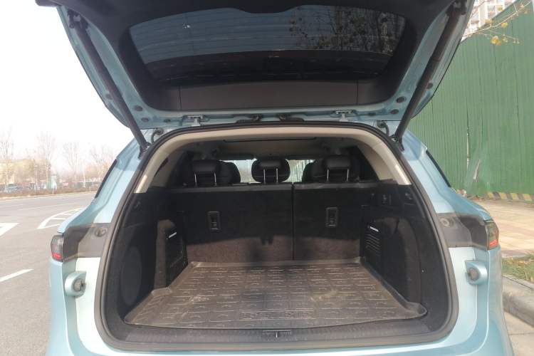 Used VOYAH FREE 2021 Four-Wheel Drive Standard Range-Extended Exclusive Luxury Package