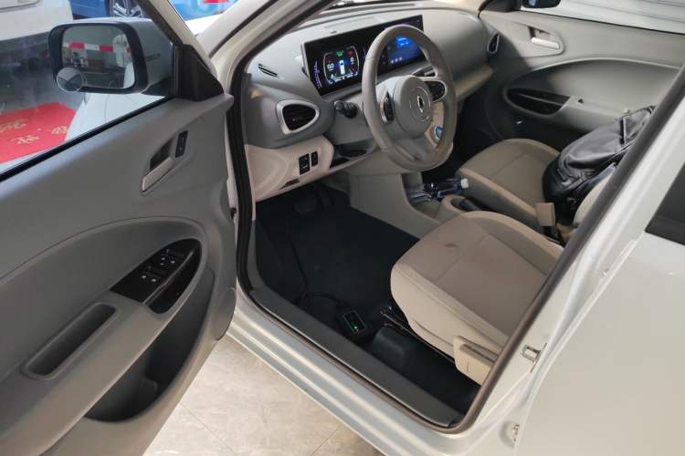 Used ORA White Cat 2020 305 km Luxury Version